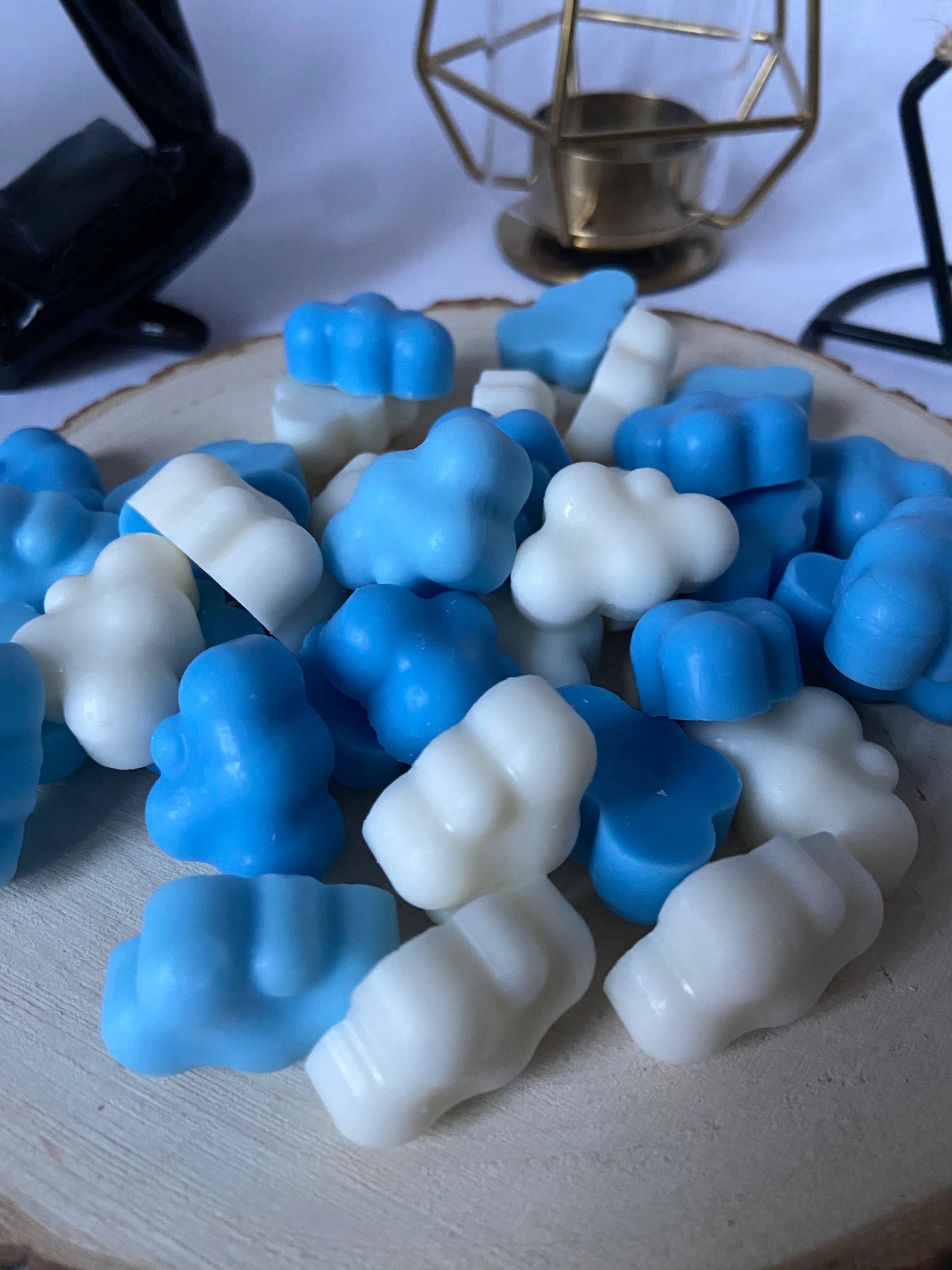 WAX MELT ROPA LIMPIA