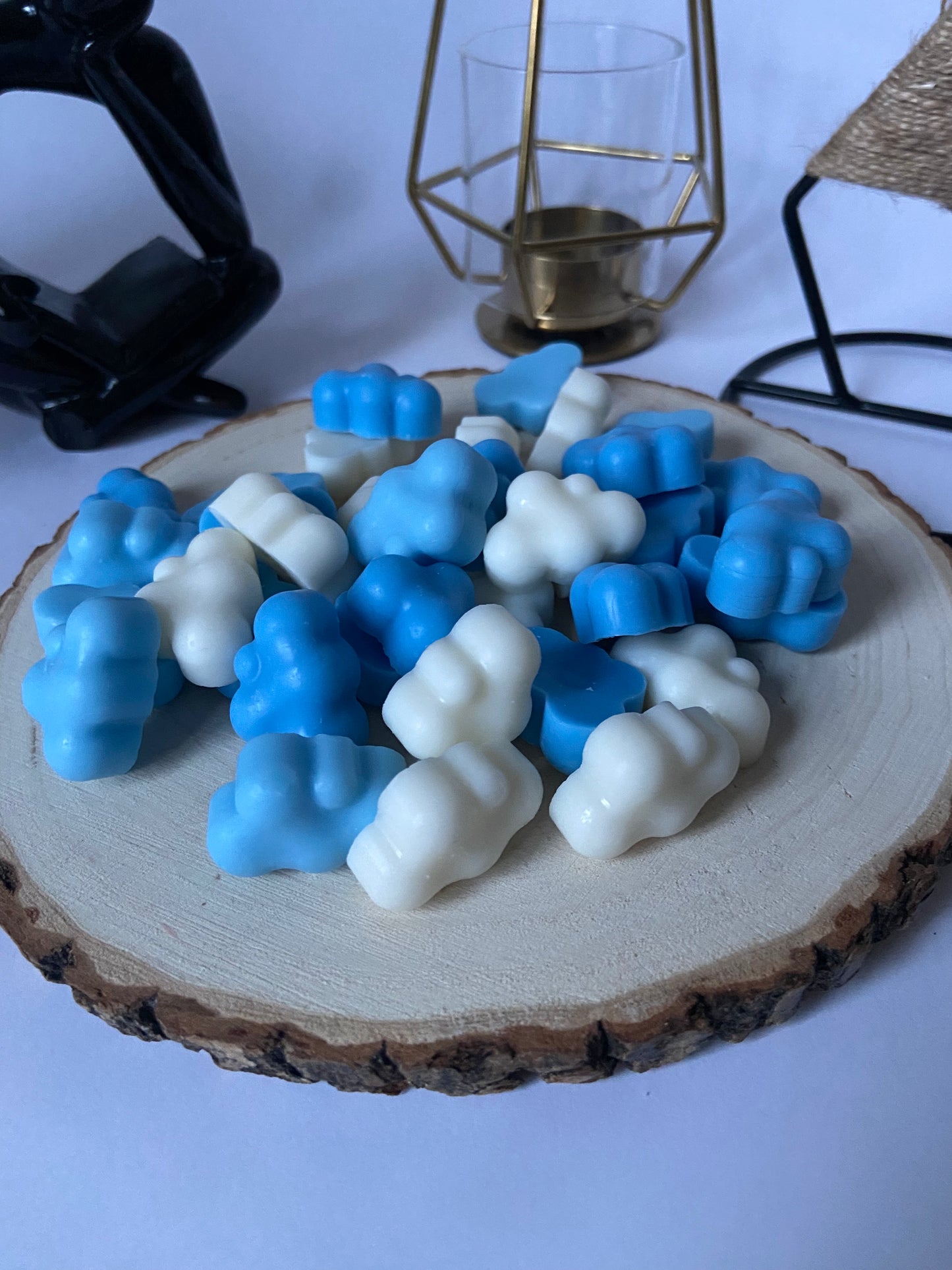 WAX MELT ROPA LIMPIA