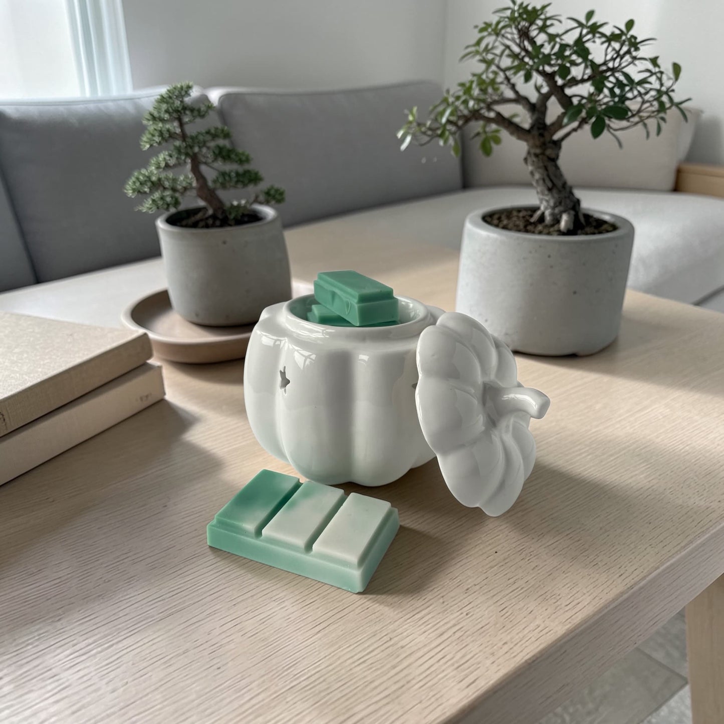 Snap bar de cera aromática jardín japonés en quemador decorativo aromatizando el hogar